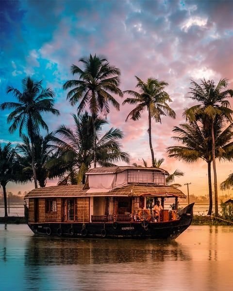 Kerala God's Own Country (Munnar, Thekkady, Alleppey Houseboat) - Kerala